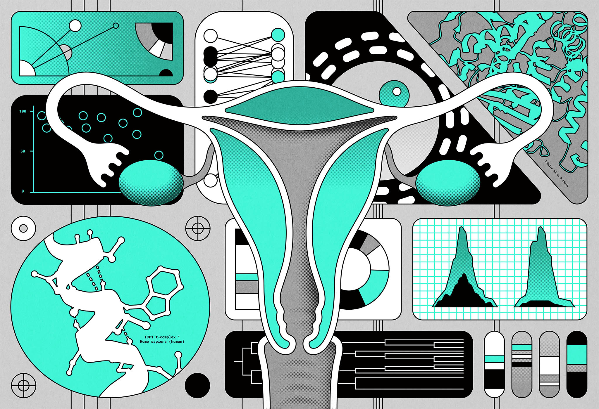 Exceptional longevity of mammalian ovarian and oocyte macromolecules throughout the reproductive lifespan